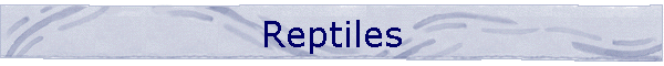 Reptiles