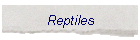 Reptiles