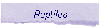 Reptiles